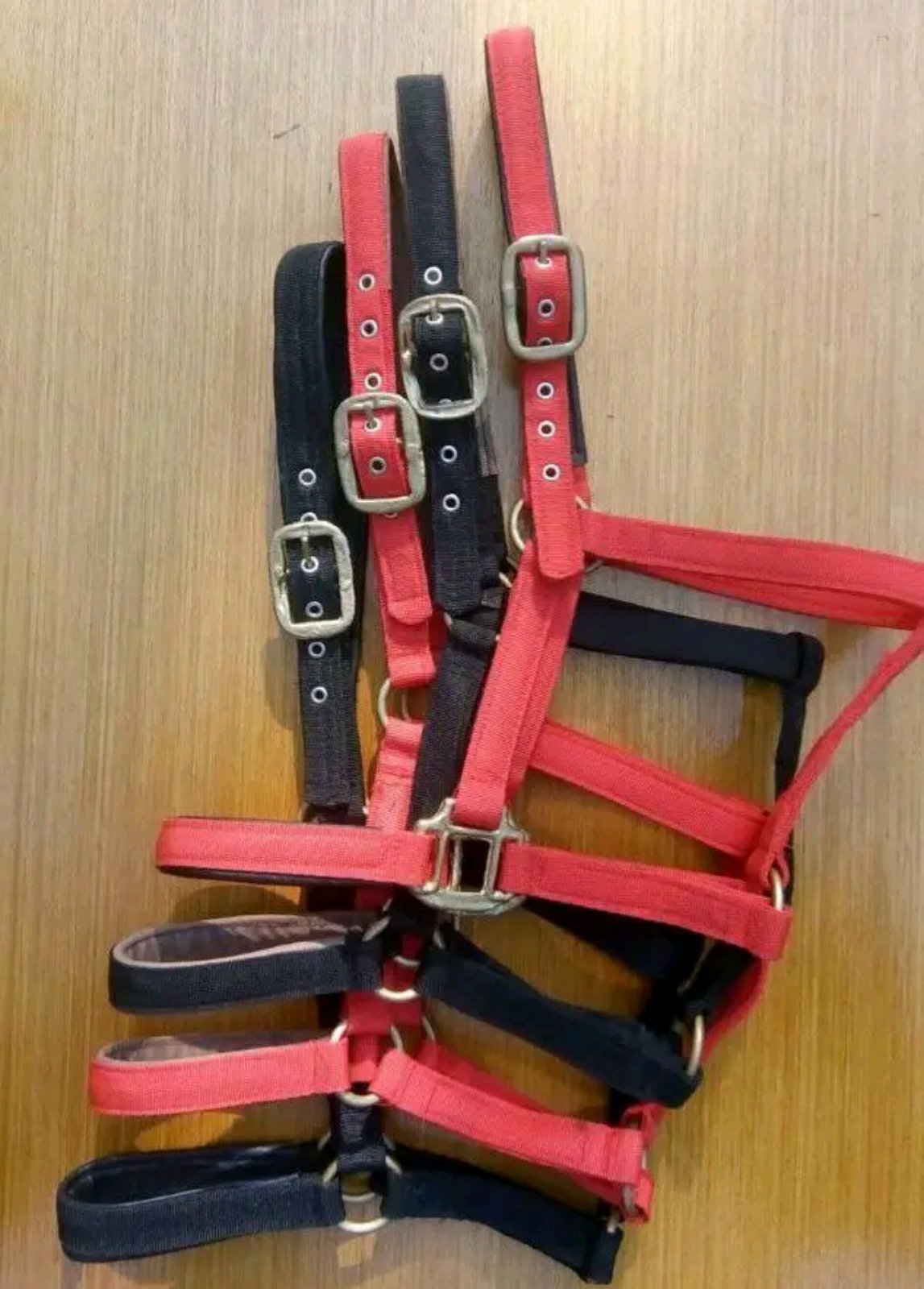 Prodaja ulara za ždrebad omad konje