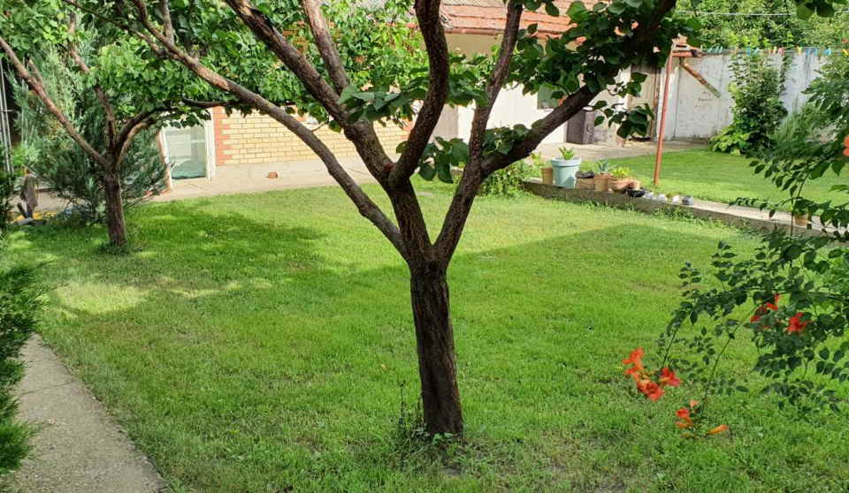 Smeštaj za radnike – Zrenjanin