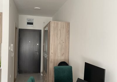 1000008078