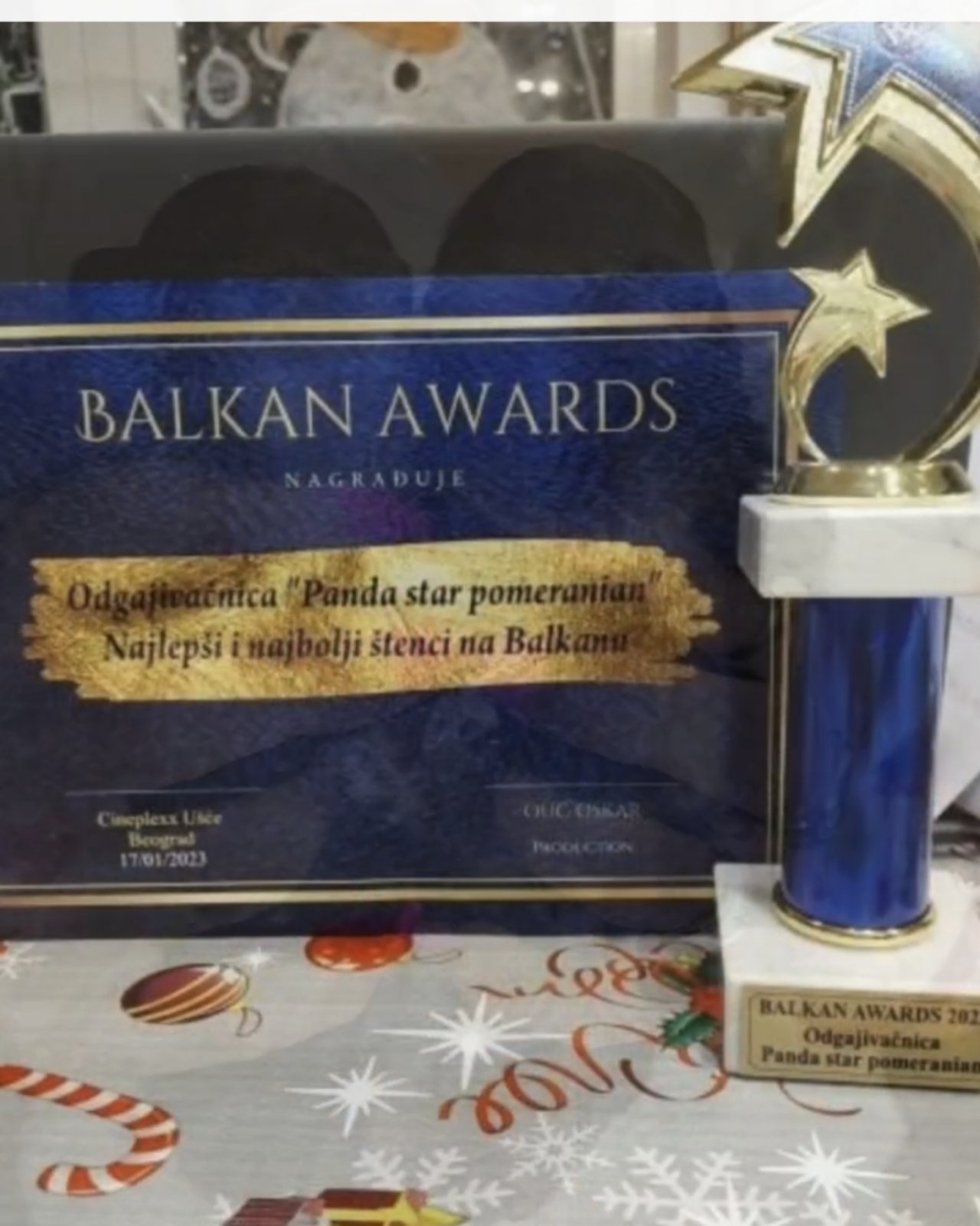 Prelepi pomeranci BOO-a