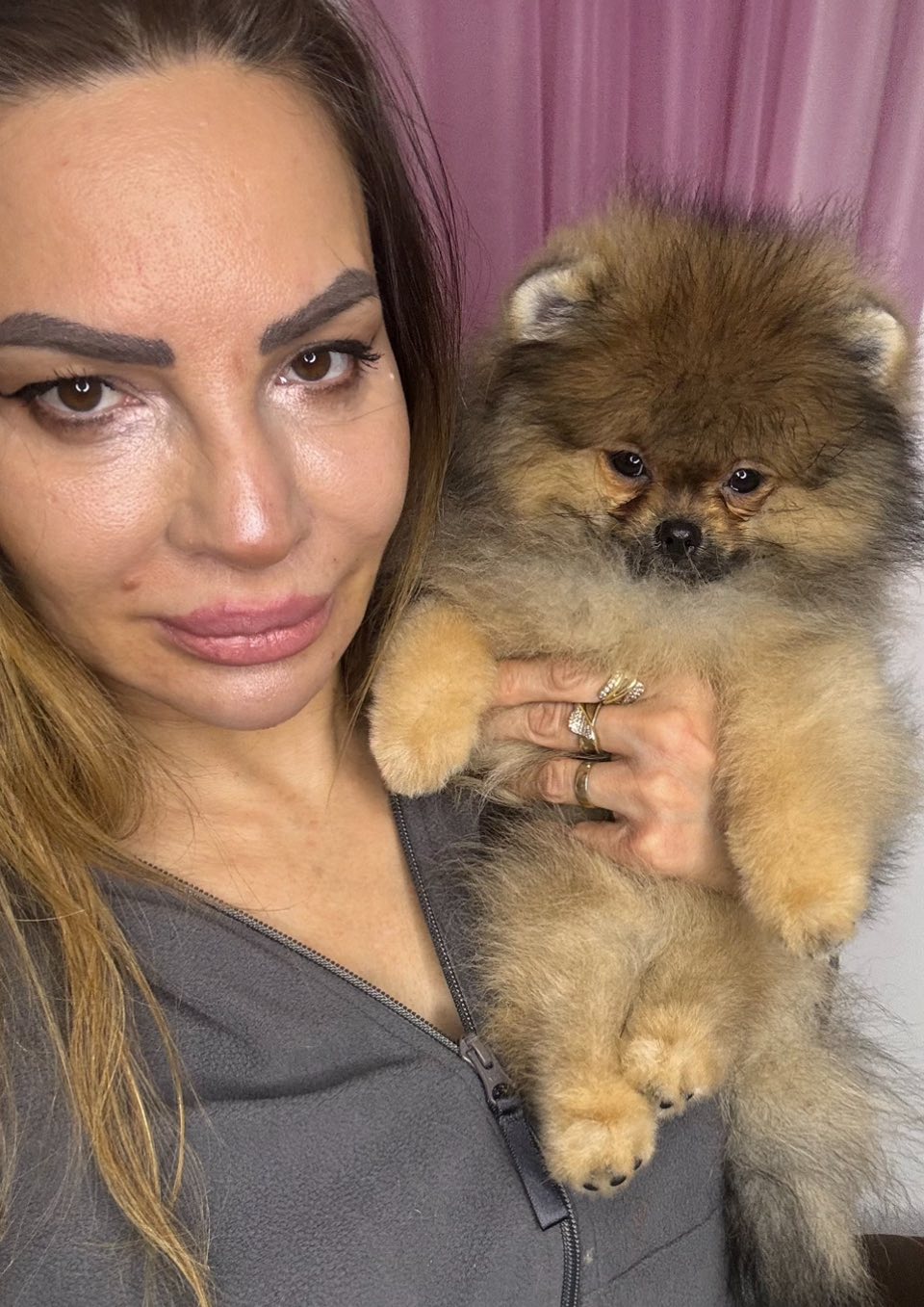 Cistokrvni pomeranci tedi bear tipa