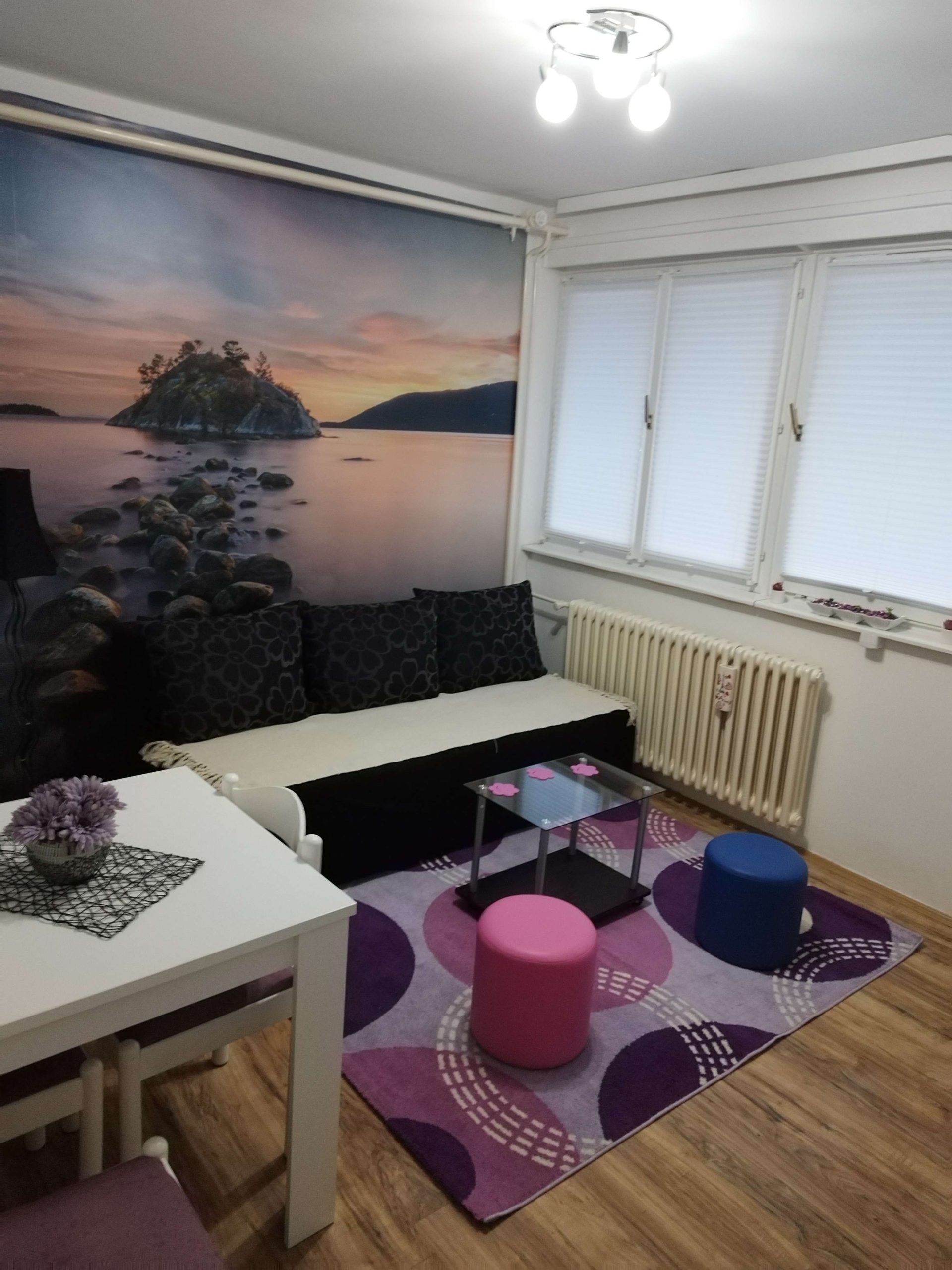 Garsonjera za izdavanje Erdoglija 170€, 21 m2