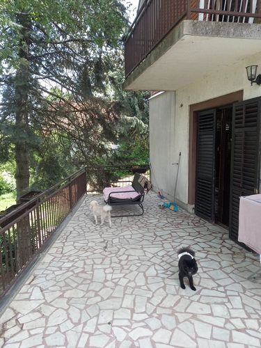 Avala, kragujevacki put. 200 m2, uknjizena 130.000 e