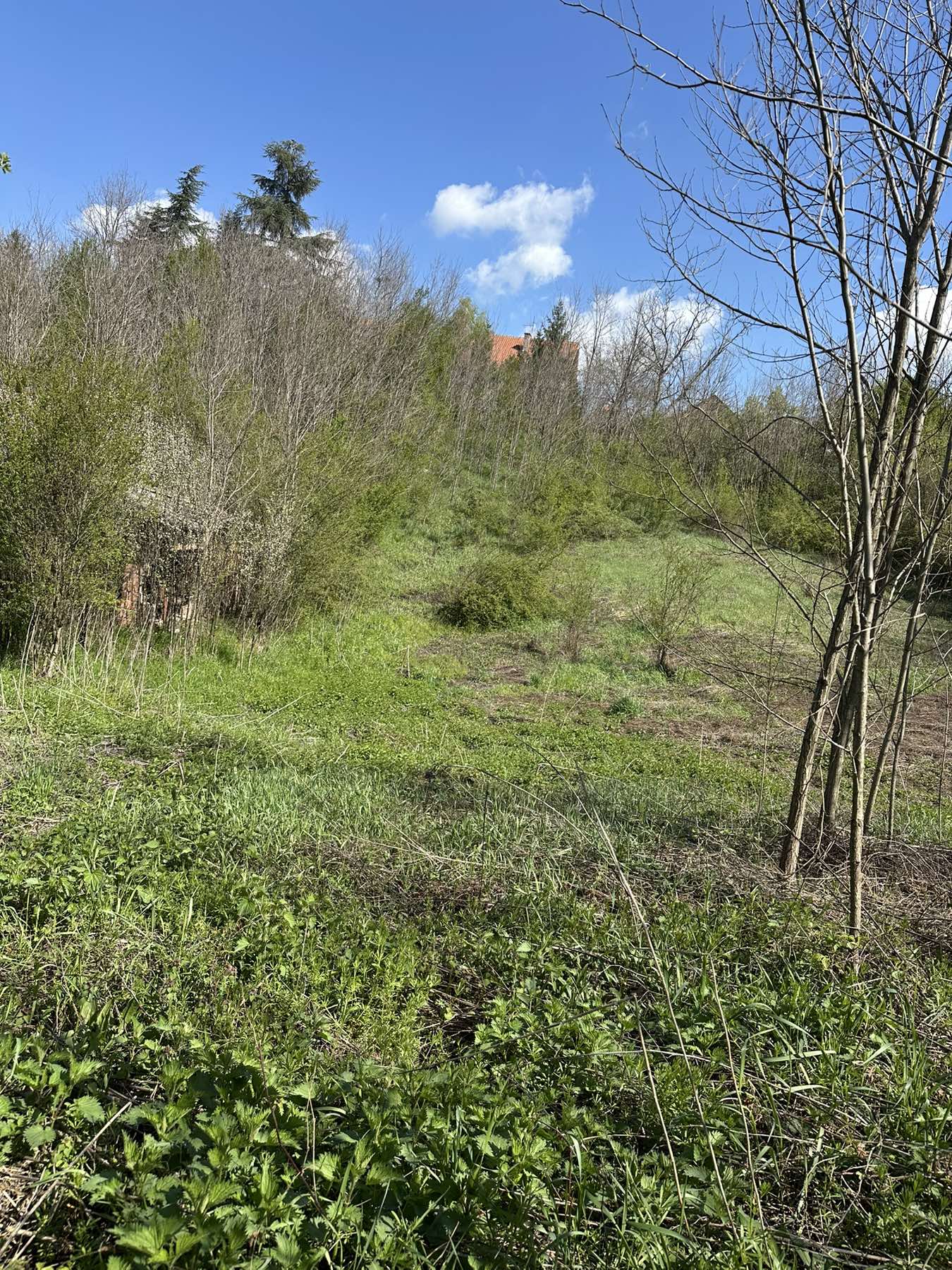 Vrcin plac na prodaju