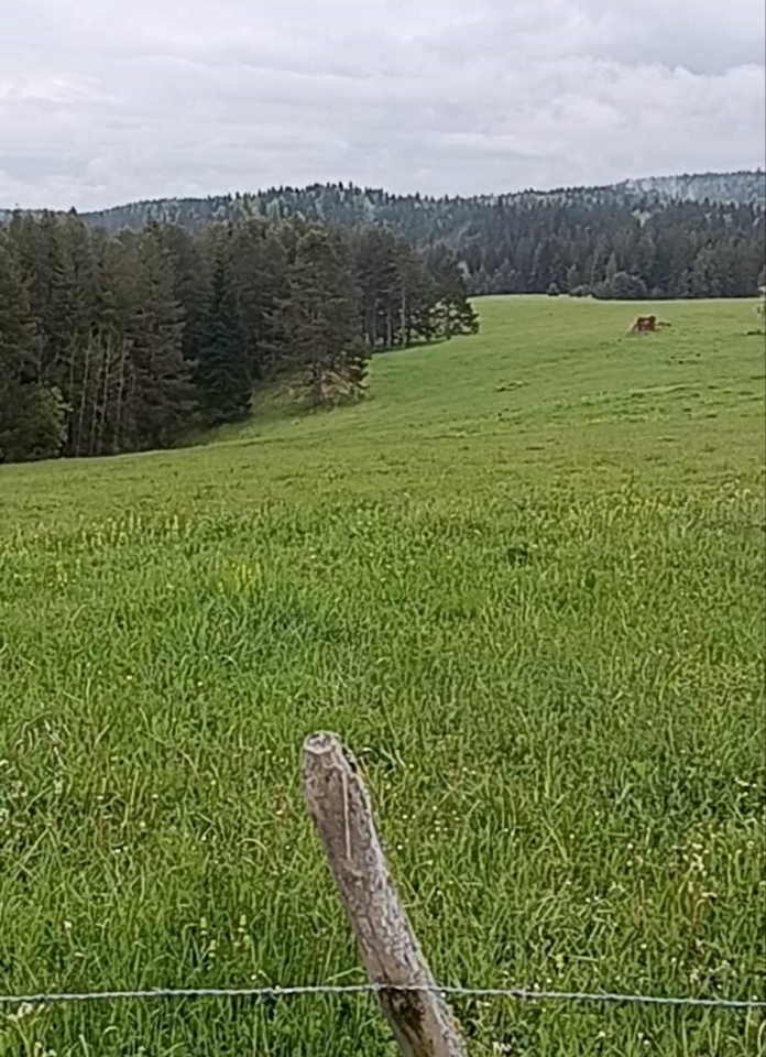 Prodajem placeve u blizini ski centra Igrišta i Han Pijeska