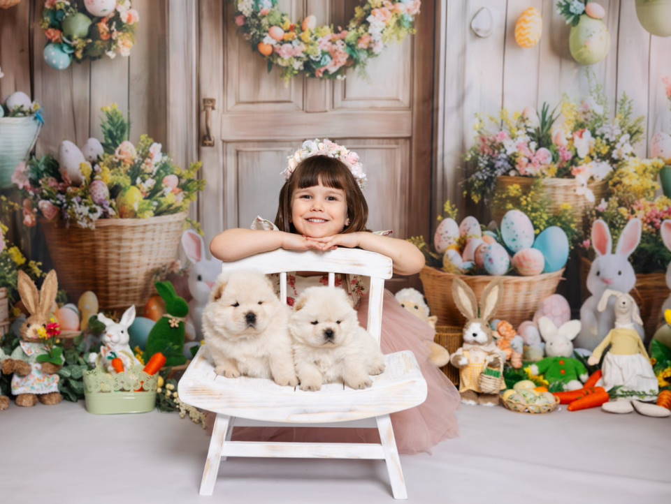 CHOW CHOW stenci