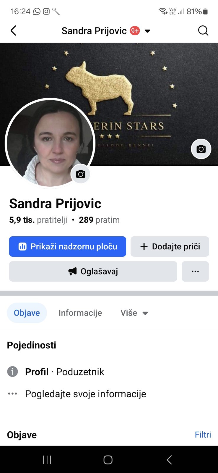 Plavi Sivi Francuski buldozi
