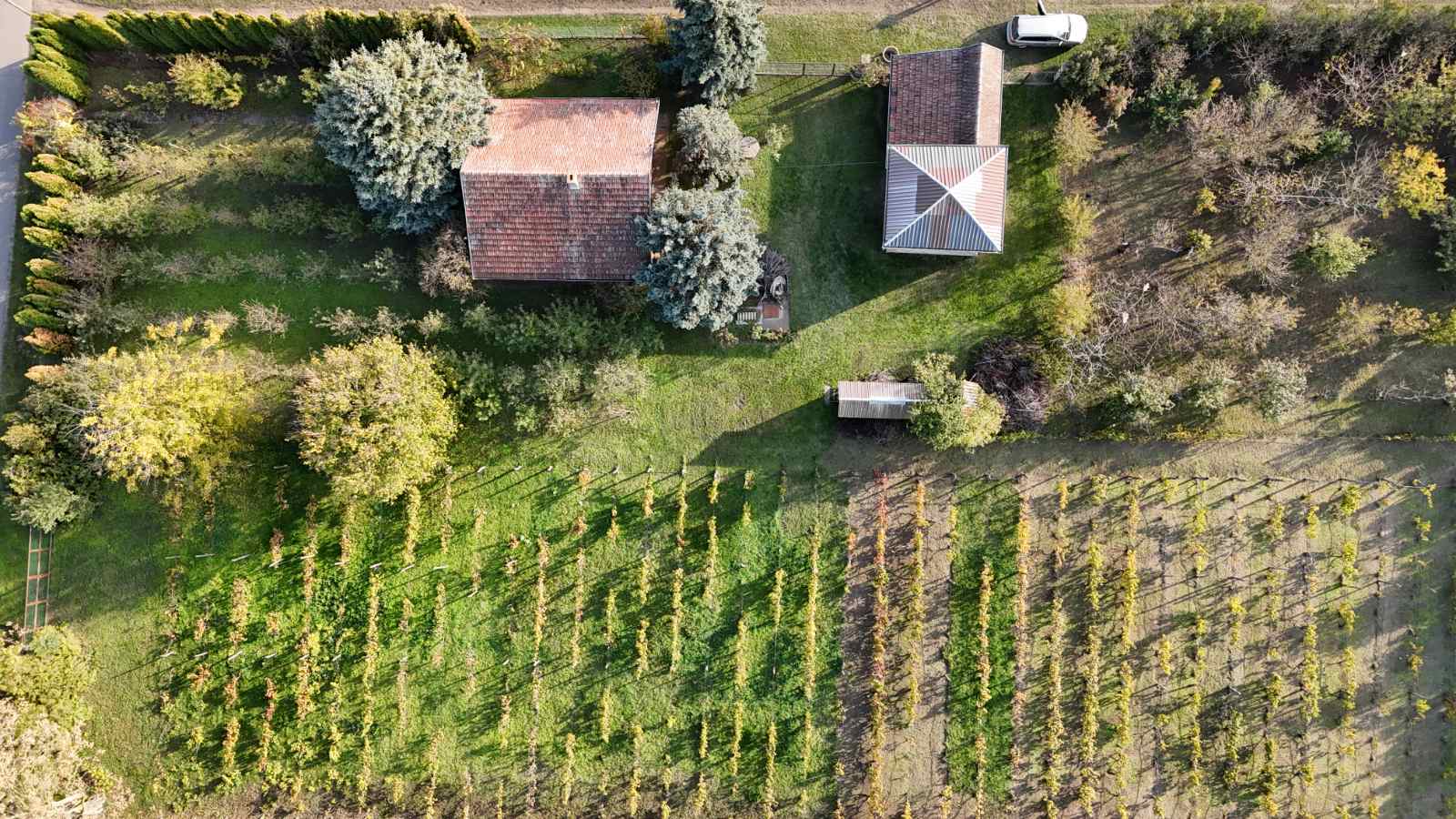 Bio Salaš blizu Subotice