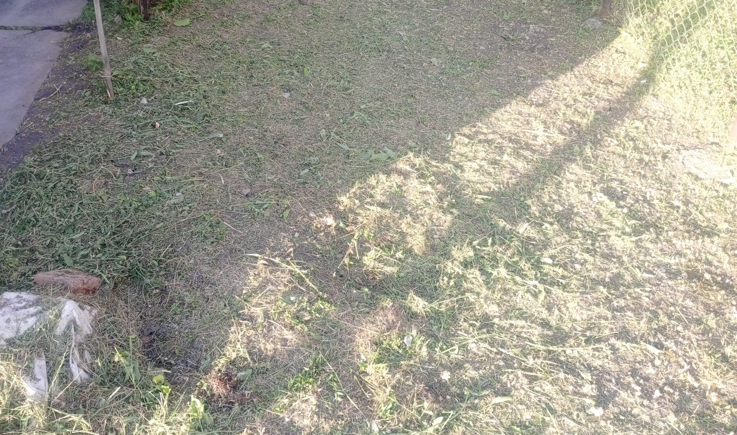 Košenje i redovno održavanje trimerom, dvorišta, placeva, vikendica, imanja. Radim na teritoriji Kragujevca i okoline za vise informacija pozvati 0637661148