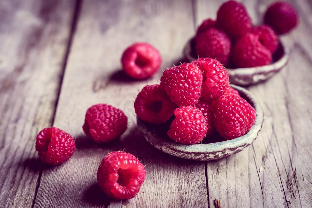 Potrebni radnici za branje malina