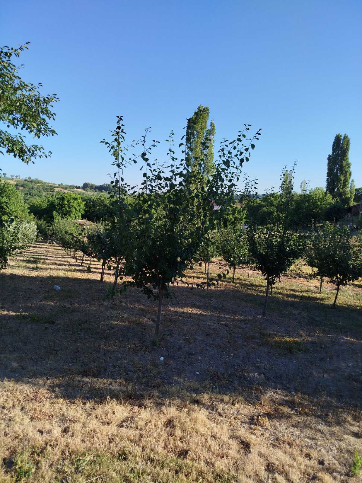 Prodajem plac sa kućom
