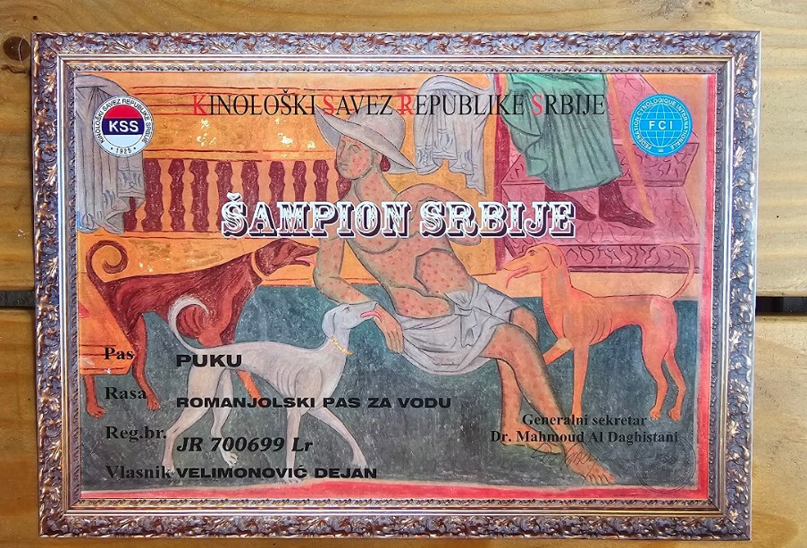 Dostupni štenci Lagoto Romanjole
