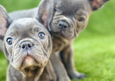 aiber_image_2025-07-28_10-02-32-166