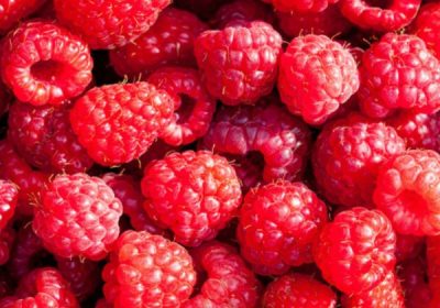 semenke-maline-co2-ekstrakt