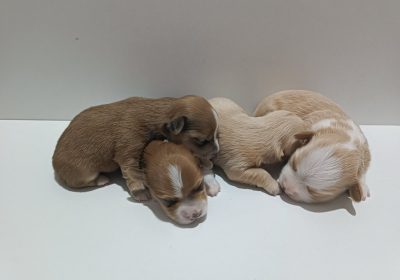 viber_image_2025-07-14_20-02-13-086