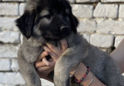 viber_image_2025-07-20_22-32-06-089