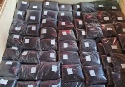 1tmb-300×300-156087380_64fa09795ec924-2244272420230907_161201