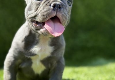 aiber_image_2025-08-07_20-22-14-395-1