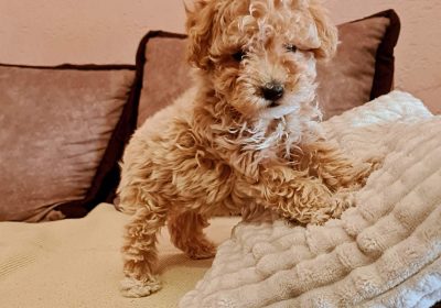 viber_image_2025-07-13_14-20-25-680