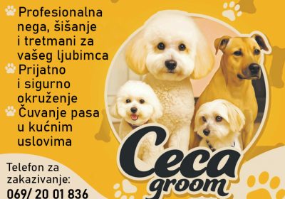 Ceca-Groom