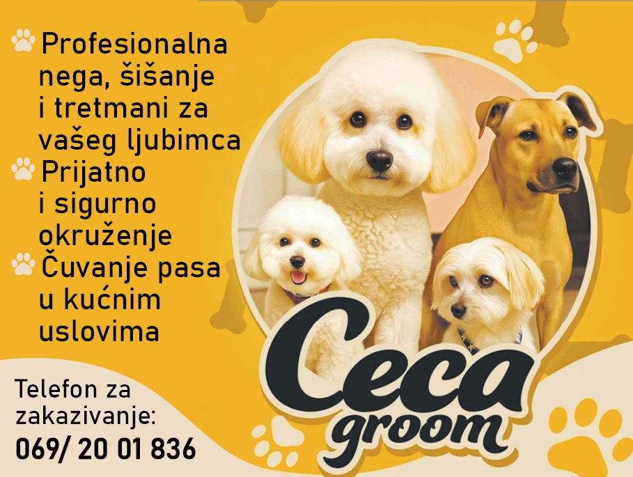 Profesionalna nega vaših ljubimaca