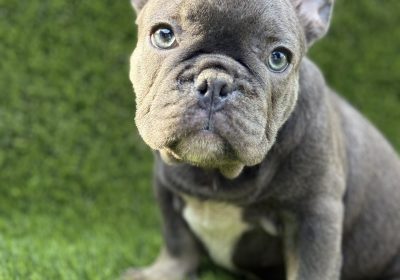 aviber_image_2025-09-08_19-10-48-861