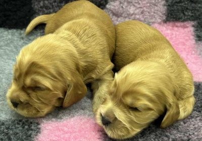 7d7b7eaf-e20f-4353-a34f-a04142f2f33c