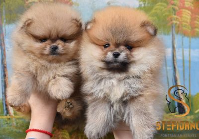 aWhatsApp-Image-2025-10-06-at-20.37.28