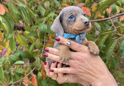 viber_image_2025-10-14_22-35-30-257