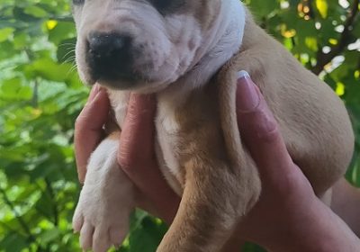 viber_slika_2025-10-02_10-44-52-091