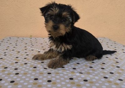 viber_slika_2025-10-23_09-55-12-336