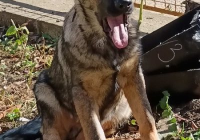 1viber_slika_2025-11-01_11-34-21-317