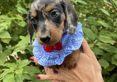 aviber_image_2025-11-04_08-27-37-944