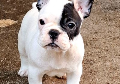 viber_image_2025-11-25_18-23-13-220