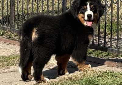 viber_slika_2025-11-28_17-54-51-346