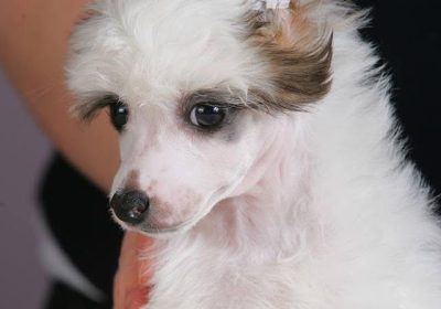 0abf3904d-b864-4f68-aa40-db1d08f7f137