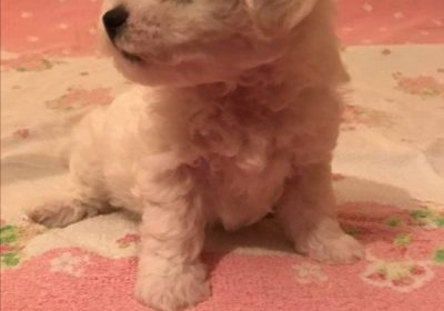 1ec163ff-9e82-4004-8b77-d5900c01cf27