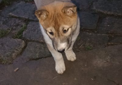 1viber_image_2025-12-08_22-59-19-717