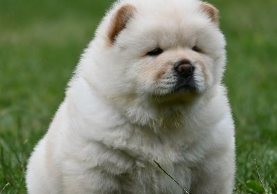 3a24daf2-6a5e-49a4-b1b2-55c98e2f88d9