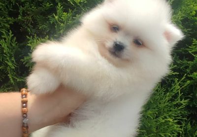 5dfe4fcd-84dc-4b7b-80ad-4fc8ee672065