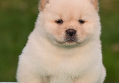 8c234ff9-3a1f-4221-b518-ef0e7047332e