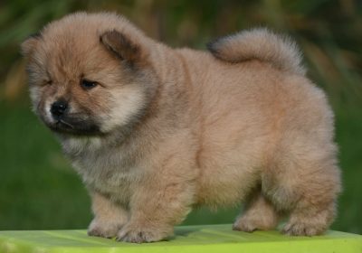 99aa4eda-154c-4dcb-973d-51349b545197