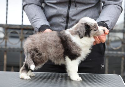 viber_image_2025-12-22_14-33-19-095