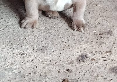 0abf3bfdbb-7b15-40c0-b043-a669c3bf2420