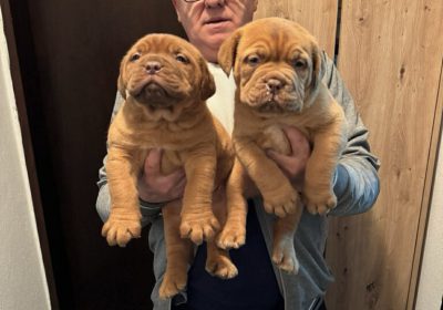 0b7113be-b034-4d87-b542-3f74f0b7385c-768×1024-1