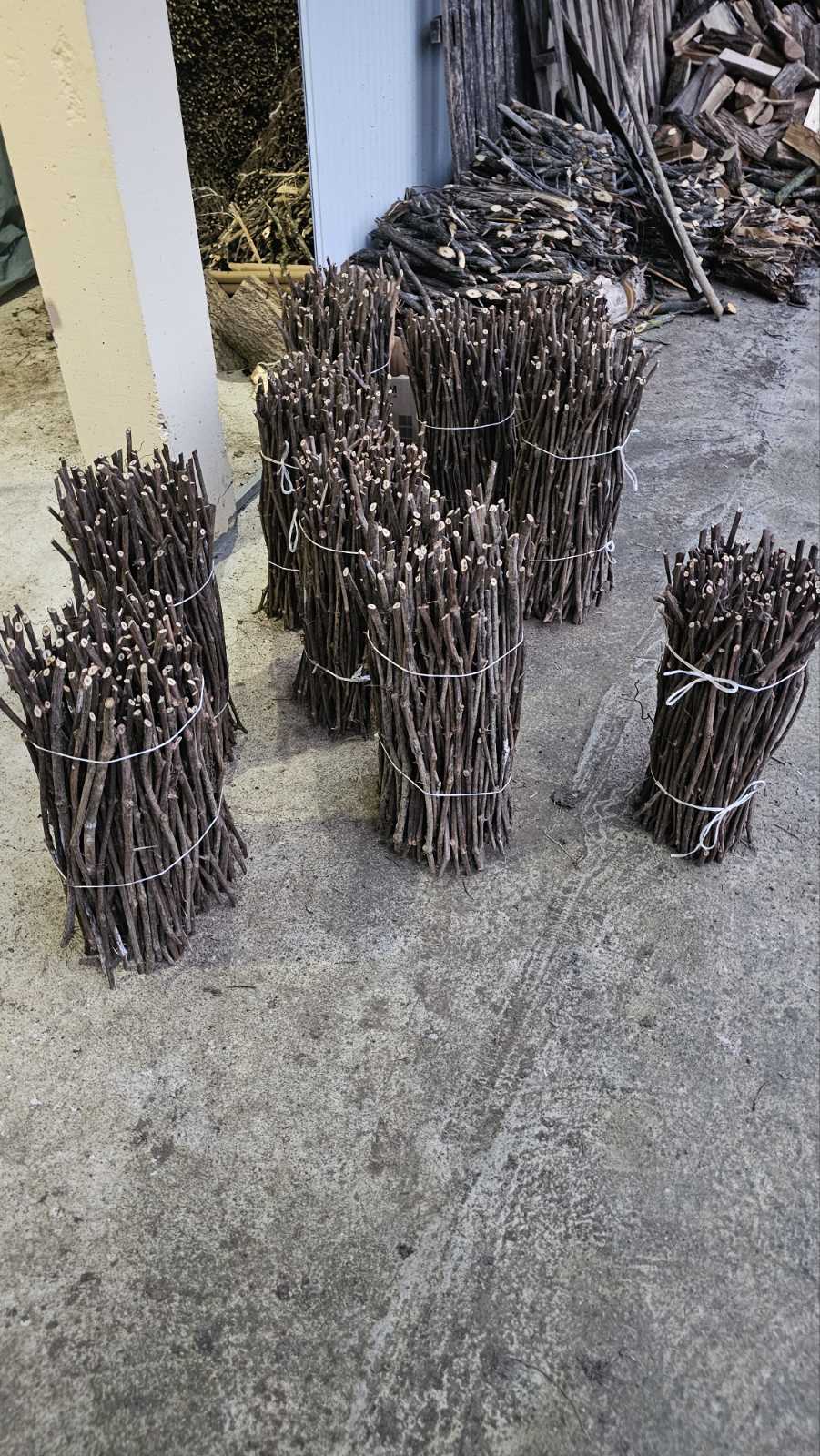 Isečena Loza 1 KLASE za Kalemljenje