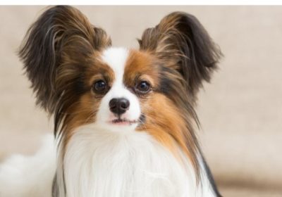 64099edc-6901-462c-8a58-d877c8554667-1_all_4096