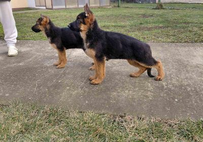 aviber_image_2026-02-22_10-28-50-544