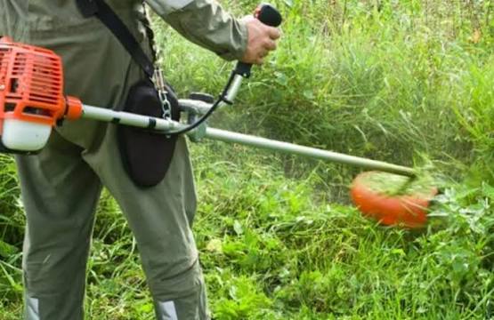 Posao Usluzno Kosenje trimerom radimo sve vrste kosenja i vece i manje povrsine odrzavamo firme kuce vikendice vocnjake dvoriste Za vise informacija pozvati 0637661148