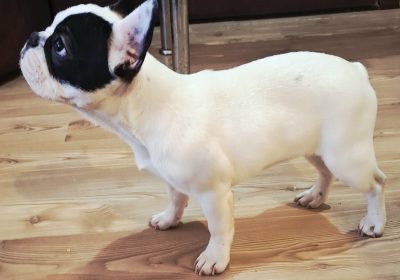 viber_image_2026-02-18_13-28-52-579